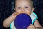 June_1426.JPG
